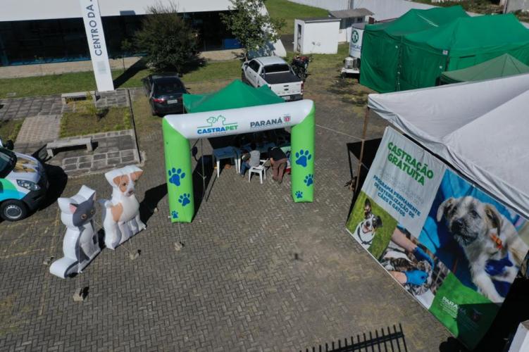 O Programa Permanente de Esterilização de Cães e Gatos ? Castrapet chega a Campo Mourão nesta terça-feira (03). Ao todo, 405 animais são aguardados no castramóvel do Governo do Paraná, entre cães e gatos. O programa é permanente e a meta é atingir 100% do Estado. - Curitiba, 02/08/2021
