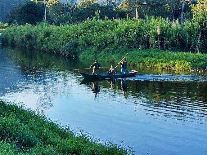Força-tarefa no litoral identifica mais de 100 hectares de desmatamento ilegal - curitiba, 03/08/2021 - Foto: IAT