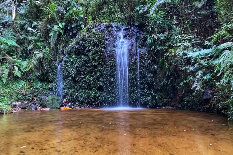 Informe apresenta crescimento nas vendas de água mineral e tendência no Paraná. Foto: José Fernando Ogura/AEN