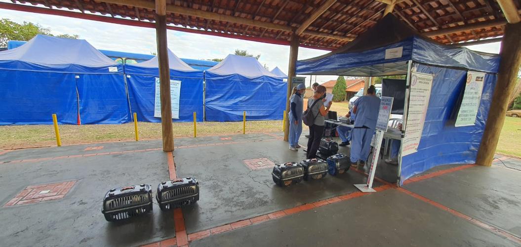Em sete cidades do Noroeste do Paraná, mais de 1000 animais são aguardados para o Programa Permanente de Esterilização de Cães e Gatos ? CastraPet Paraná. A ação é promovida pela Secretaria do Desenvolvimento Sustentável e do Turismo (Sedest), em parceria com os municípios, que realizam o cadastro das famílias beneficiadas. - Curitiba, 09/08/2021 - Foto: SEDEST
