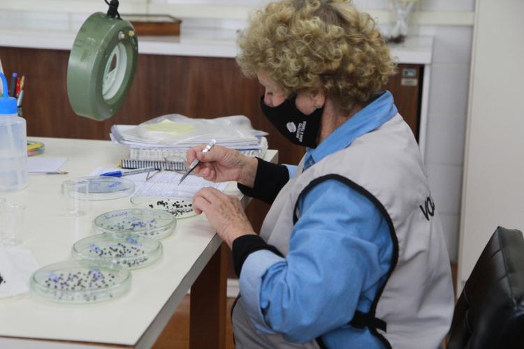 Laboratório de sementes IAT