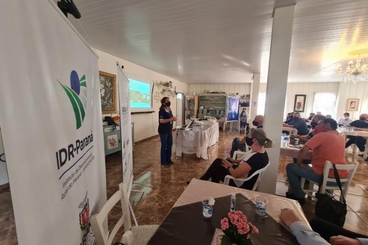 Vocações regionais