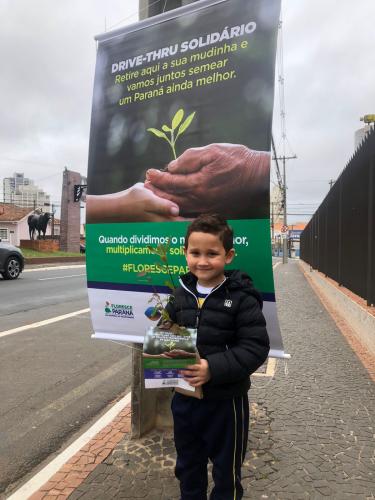 Campanha Floresce PR