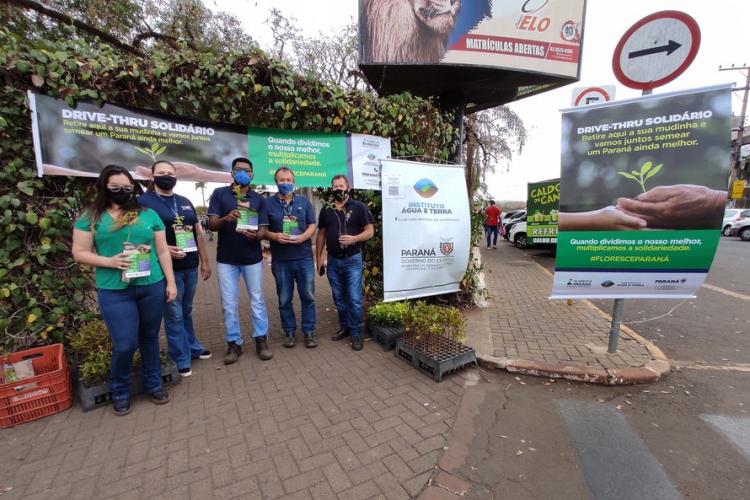 Campanha Floresce PR