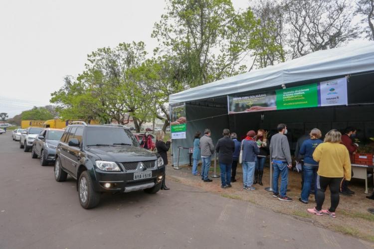 Campanha Floresce PR