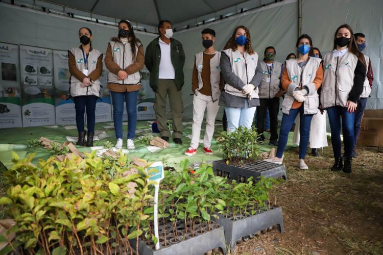 Campanha Floresce PR