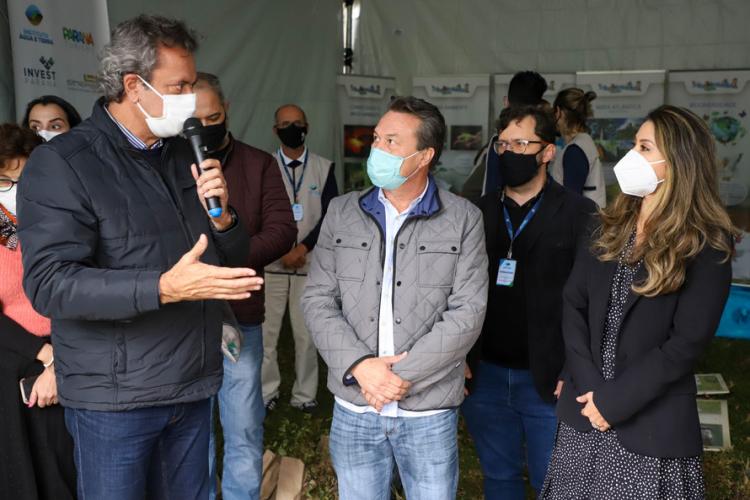 Campanha Floresce PR