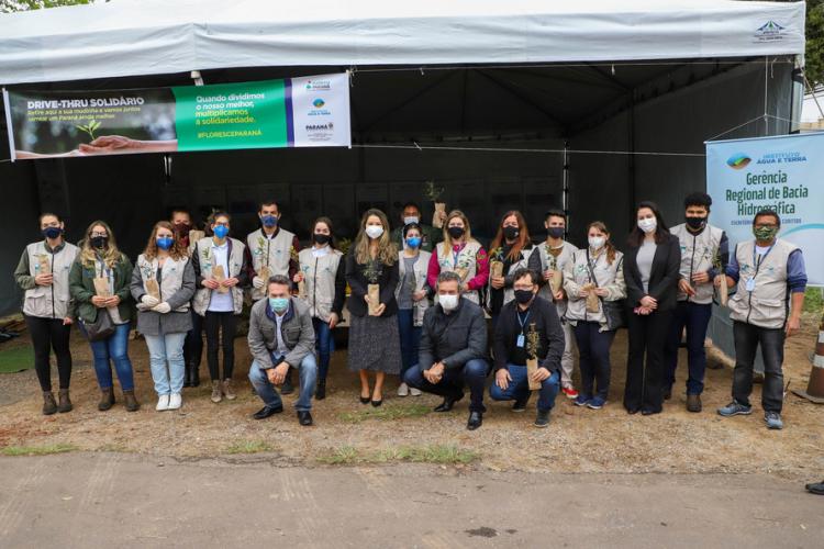 Campanha Floresce PR