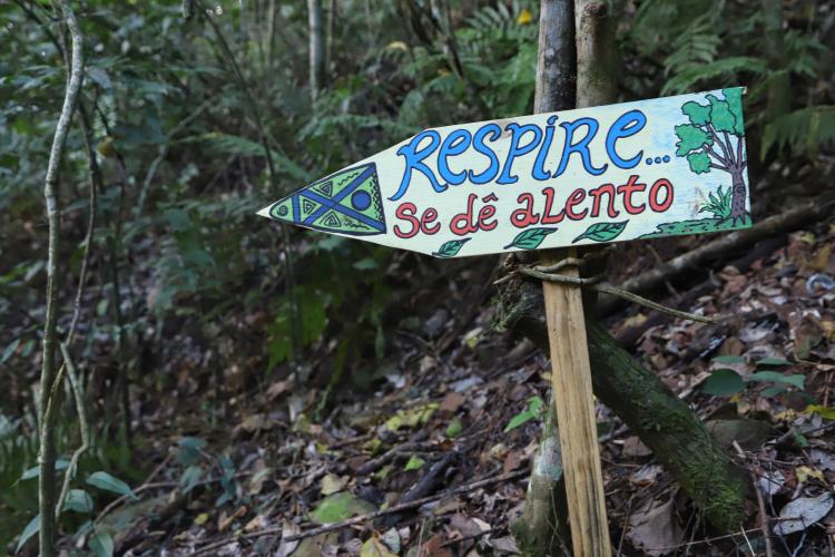 Tem praia, tem trilha, lugar para a família, cultura e aventura. Tem emoção, comida boa, rio e lagoa. Esse é um dos trechos da trilha sonora que embala a campanha de marketing da retomada do turismo no Paraná. Na foto, Foz do Iguaçu - Trilha do Índio.