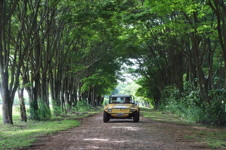 Tem praia, tem trilha, lugar para a família, cultura e aventura. Tem emoção, comida boa, rio e lagoa. Esse é um dos trechos da trilha sonora que embala a campanha de marketing da retomada do turismo no Paraná. Na foto, Itaipulândia.