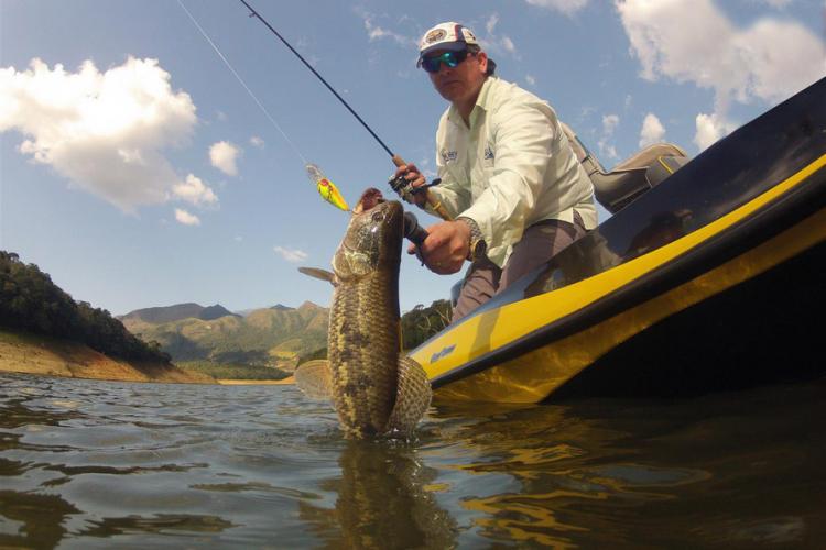 Pesca