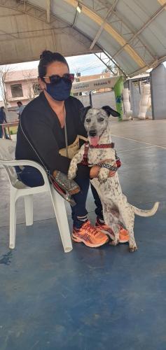 Castração em Turvo