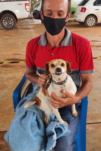 Castrapet São Roque