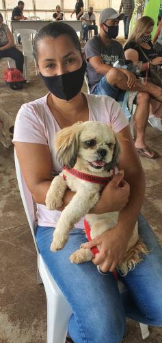 Castrapet em Arapongas