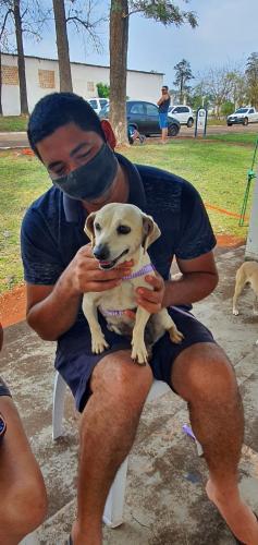 Castrapet em Arapongas