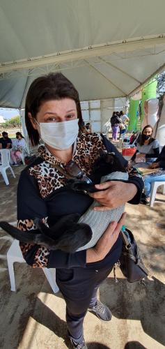 Castrapet em Arapongas