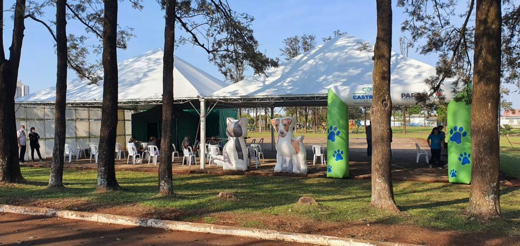 Castrapet em Arapongas