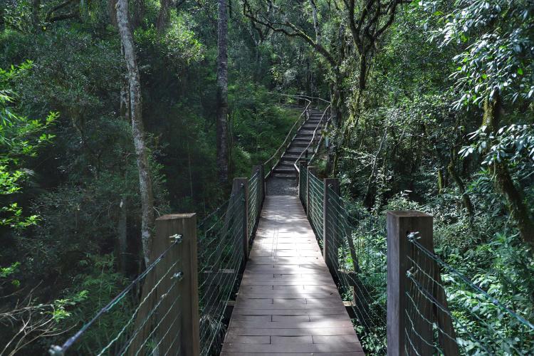 Salto São João. Prudentópolis - 02-2021