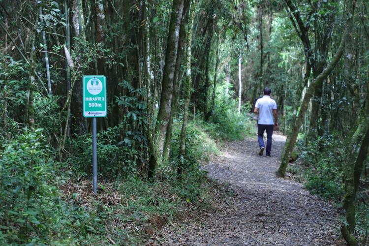 Salto São João. Prudentópolis - 02-2021