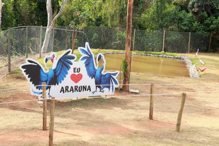 Parque Urbano Araruna