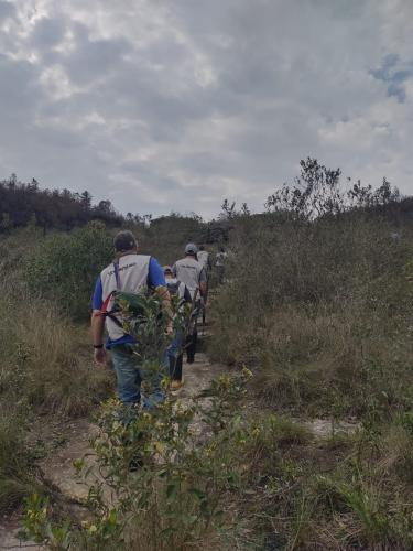 Programa de Voluntariado do IAT leva paranaenses ao Parque Estadual Vale do Codó.Foto:IAT