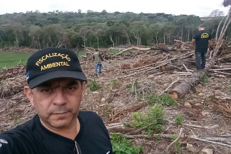 Mata Atlântica em Pé
