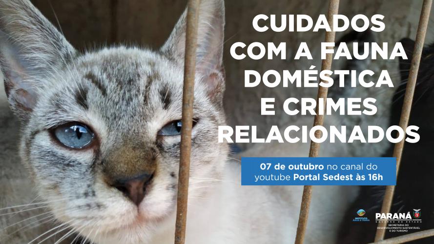 Duas lives, nesta quinta e sexta-feira (07 e 08) destacam os cuidados e a criminalização aos animais domésticos e silvestres no Estado do Paraná. As lives começam às 16 horas, transmitidas ao vivo pelo Canal do Youtube da Secretaria do Desenvolvimento Sustentável e do Turismo (Sedest). - Foto: SEDEST