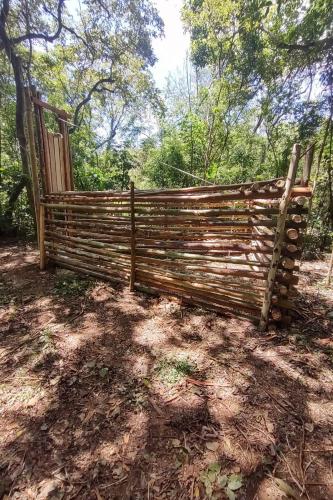 O Instituto Água e Terra (IAT), órgão vinculado à Secretaria de Estado do Desenvolvimento Sustentável e do Turismo (Sedest), iniciou a instalação de armadilhas para a captura de javalis no Parque Estadual Vila Rica do Espírito Santo, no município de Fênix. A espécie é considerada exótica invasora e causa prejuízos à fauna e flora local