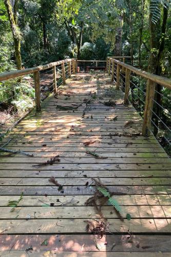 emporal danifica estrutura do Parque Estadual Vitório Piassa, em Pato Branco - Pato Branco, 29/11/2021