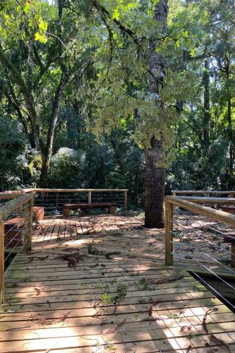 emporal danifica estrutura do Parque Estadual Vitório Piassa, em Pato Branco - Pato Branco, 29/11/2021