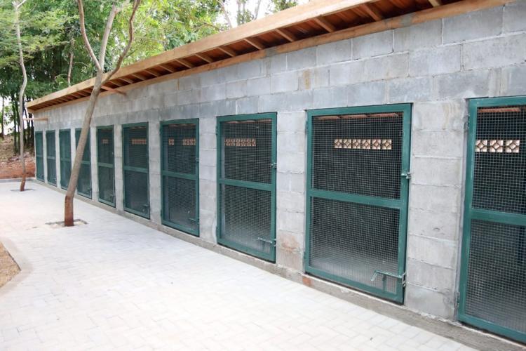 Maringá ganha novos espaços de proteção ao meio ambiente e à fauna silvestre - Maringá, 16/12/2021