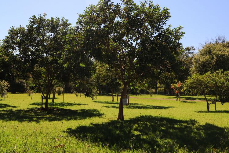 Governador Carlos Massa Ratinho Junior acompanha o plantio da 24ª milionésima árvore pela Itaipu Binacional - Foz do Iguaçu, 03/12/2021 Foto: José Fernando Ogura/AEN