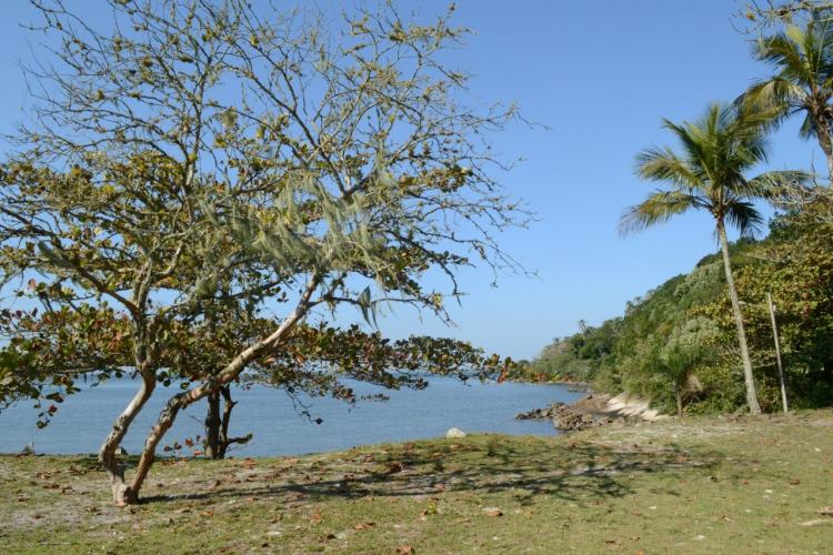 Ilha das Cobras