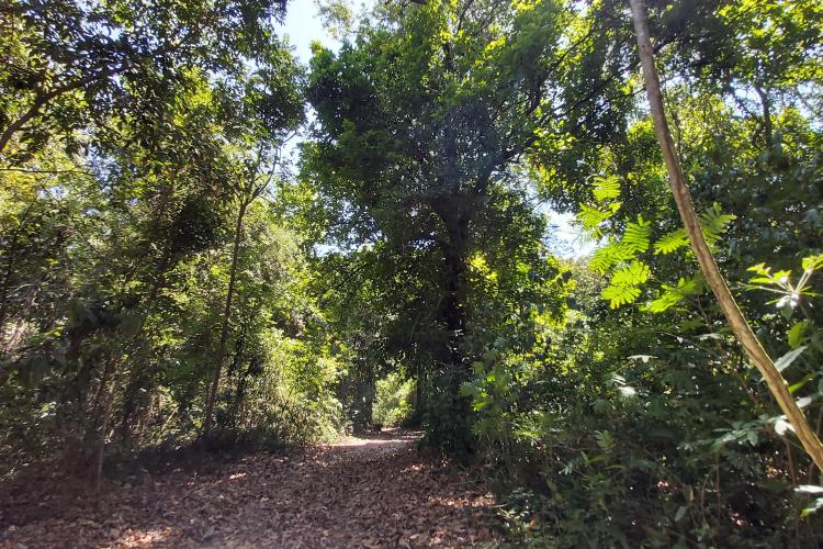 RPPN Fazenda Santa Fé