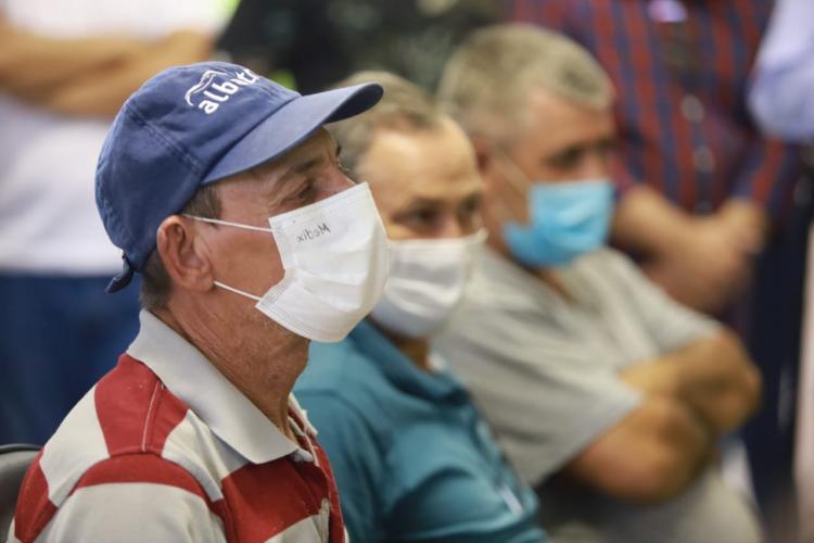 Regularização Arapongas