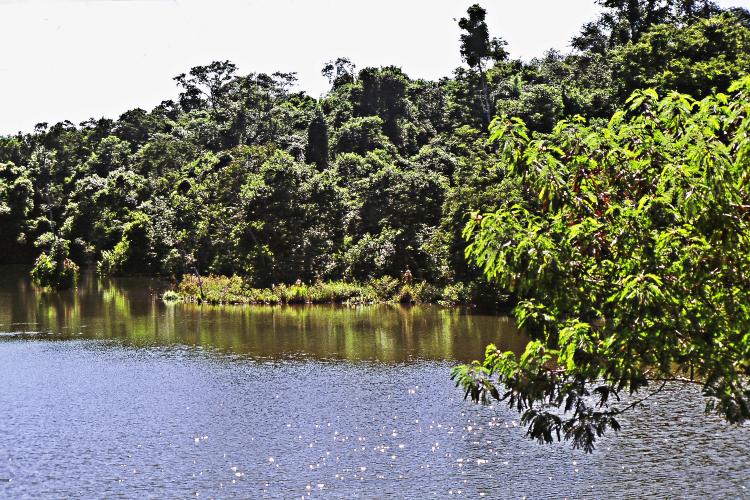 IAT conversa com comunidade sobre a utilização de recursos hídricos dos rios São Camilo e Jesuítas