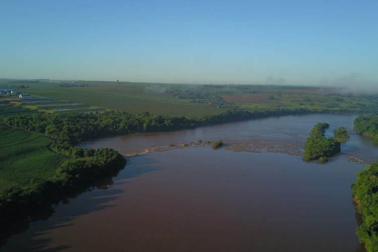 Soltura de peixes Piquiri e Ivaí