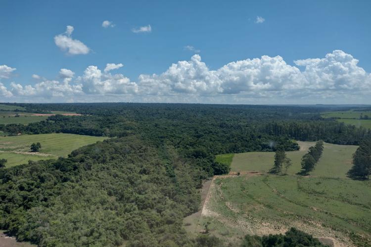 Fiscalização aérea