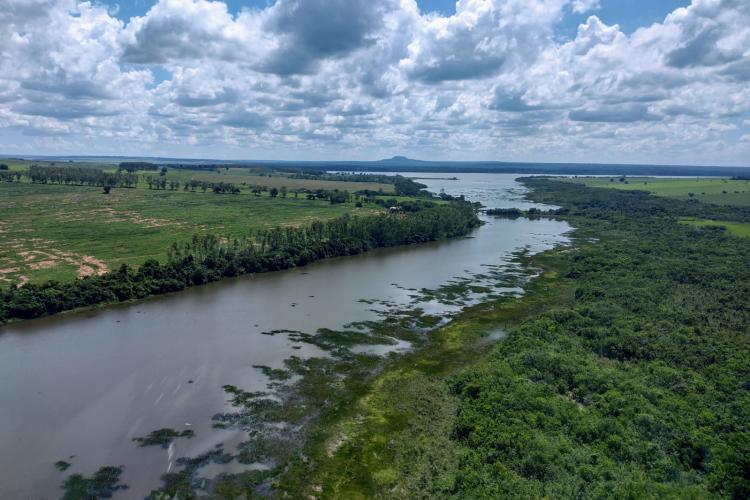 Fiscalização aérea