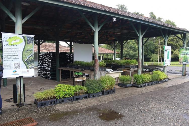 App Paraná Mais Verde