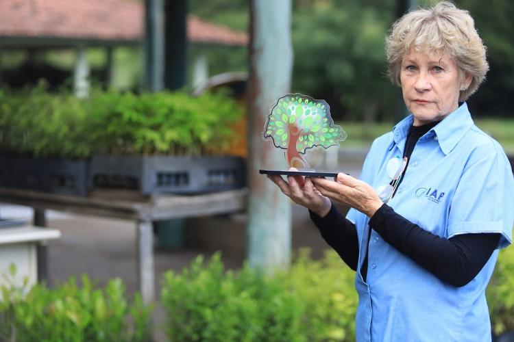 App Paraná Mais Verde