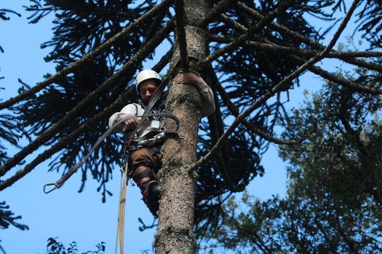 App Paraná Mais Verde