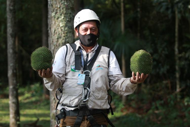 App Paraná Mais Verde