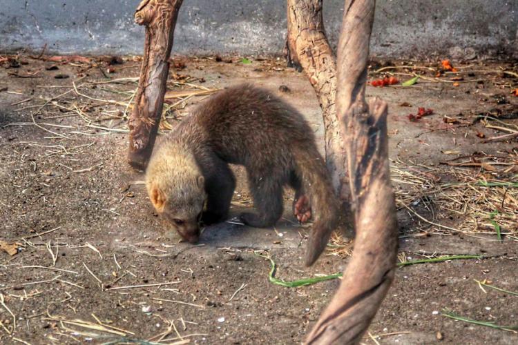 CAFS recebem recursos provenientes de condicionantes ambientais -