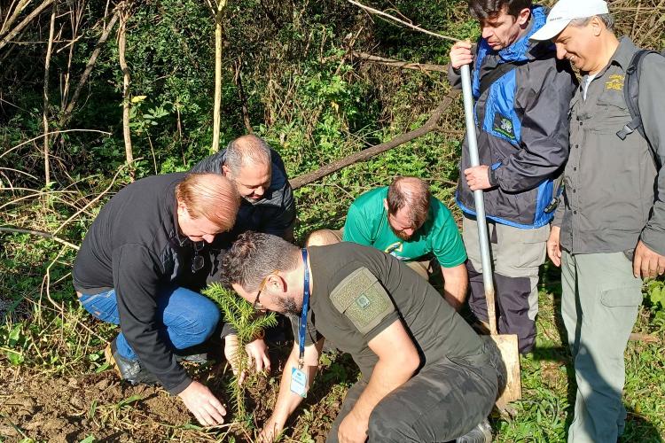 Manutenção das trilhas do Pico Paraná marcam início das atividades educativas da Semana do Meio Ambiente no Estado