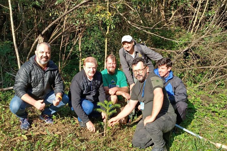 Manutenção das trilhas do Pico Paraná marcam início das atividades educativas da Semana do Meio Ambiente no Estado