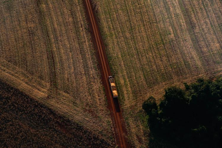 Estado e Faep divulgam cartilha para ajudar produtores rurais com questões ambientais.