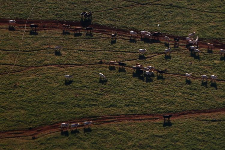 Estado e Faep divulgam cartilha para ajudar produtores rurais com questões ambientais.