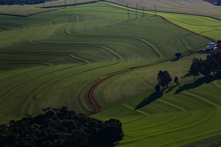 Estado e Faep divulgam cartilha para ajudar produtores rurais com questões ambientais.