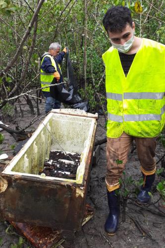 Toneladas de resíduos são retirados de manguezais no Litoral do Paraná